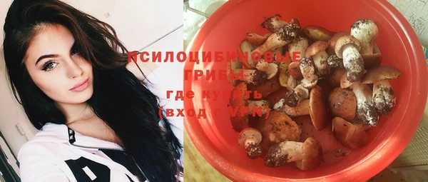 Альфа ПВП Абаза