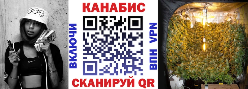 Бошки марихуана гибрид  Талдом 